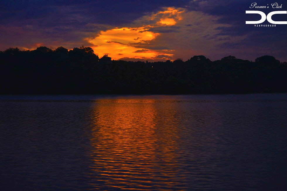 Nature's Canvas