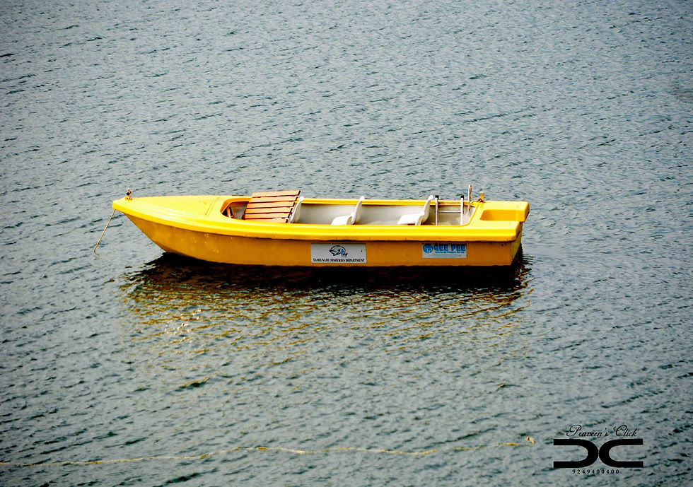 Lonely Boat