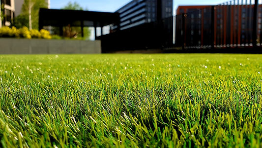 Grass-min.jpg