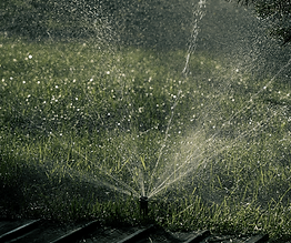 Untitled-2_0000_maxim-tolchinskiy-rCQfBD2Yg0k-unsplash-min.png