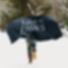 liveaslions-logo-flag.webp