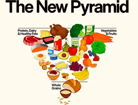 ינואר 2026- פירמידת המזון משתנה!