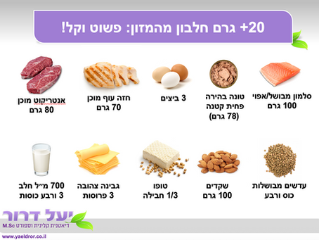 מאכלים שמכילים 20 גרם חלבון