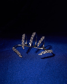 LA Maison Creative Jewellery Shoot (29 November 2024)3554.JPEG