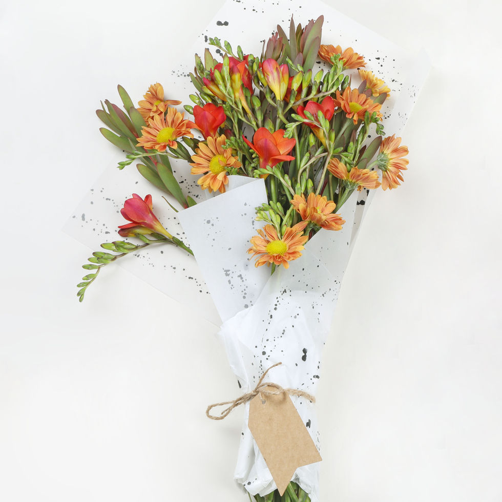 Hemen Ara: 

+90 534 516 18 13