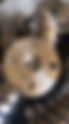 Sealing performance of pressure vessel flange