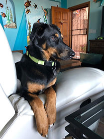 boomer april 12 2019.jpg