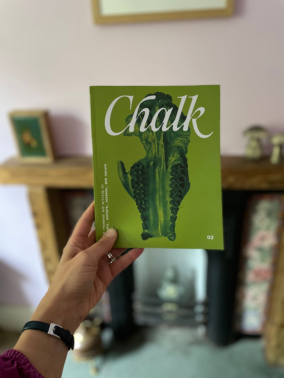 Isn't Chalk Magazine a beaut?