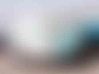 Wide exterior shot showing the full trailer and custom vinyl wrap.