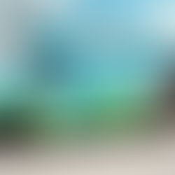 Ben & Jerry's Dessert Custom Food Truck | From Concept to Reality  | 14 FT. | 