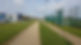 Walking Track.jpg