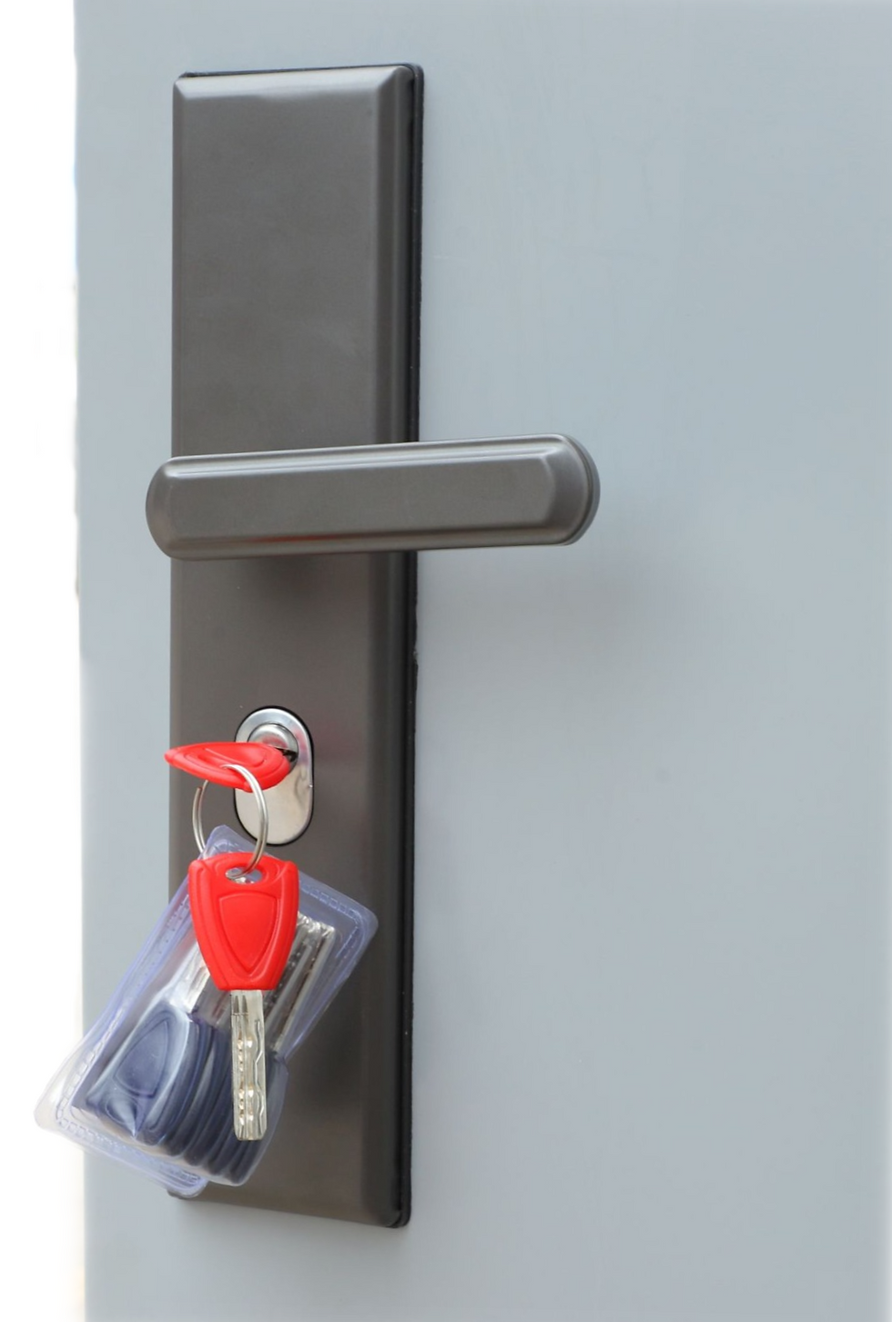 Thumbnail: ArmaDoor Basic