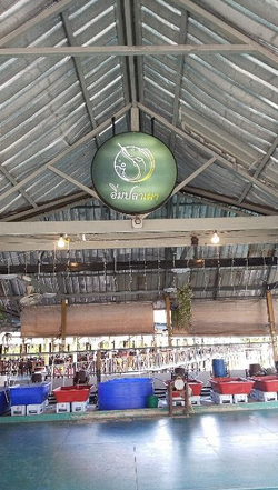 Screenshot 2025-08-15 112602