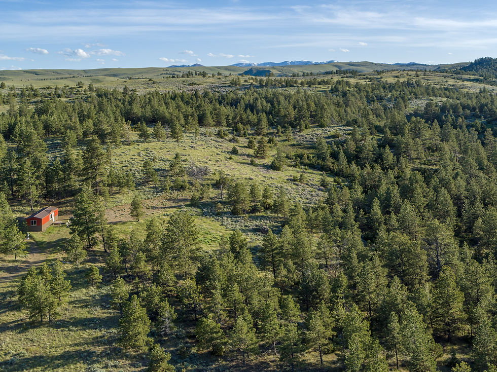Hilltop Cabin