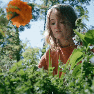 Final Static-320x320px-Customsize1.gif