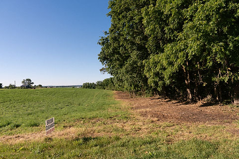 Stevens Before and After 6.19.26-4.jpg