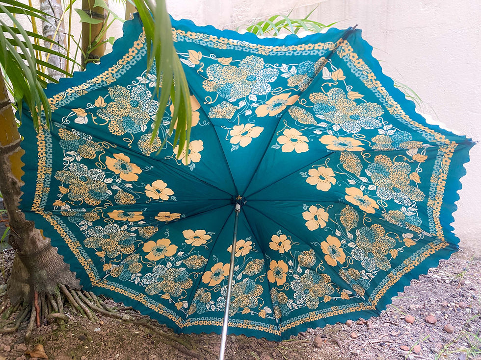 Guarda chuva sombrinha Vintage flores azul
