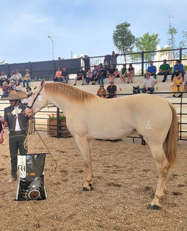 Tulum en Aguascalientes 2024