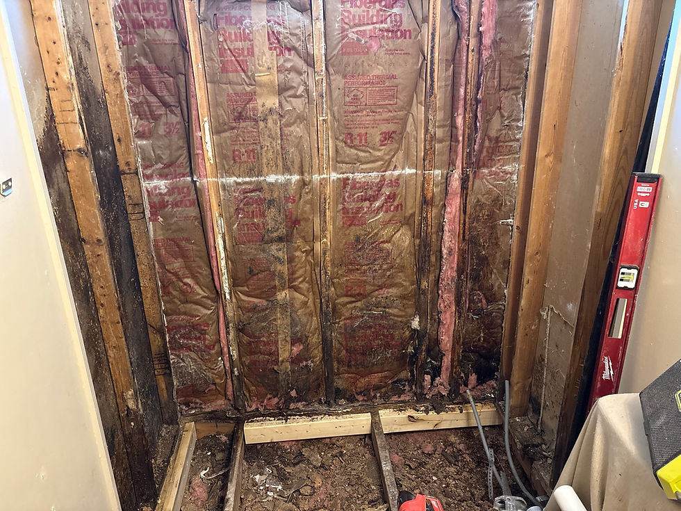 Bathroom (before)