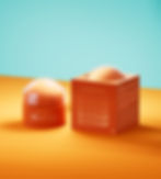 Bloom-Up-2xr-Design.jpg
