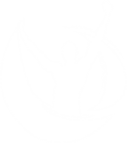 TRUE TRAINING WHITE LOGO ONLY.webp