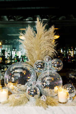 Copy of Starling pampas+discos.jpg