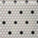 Penny rounds white and black