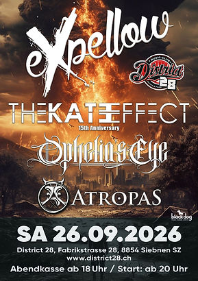 WhatsApp Image 2026-03-16 at 12.54.25.jpeg