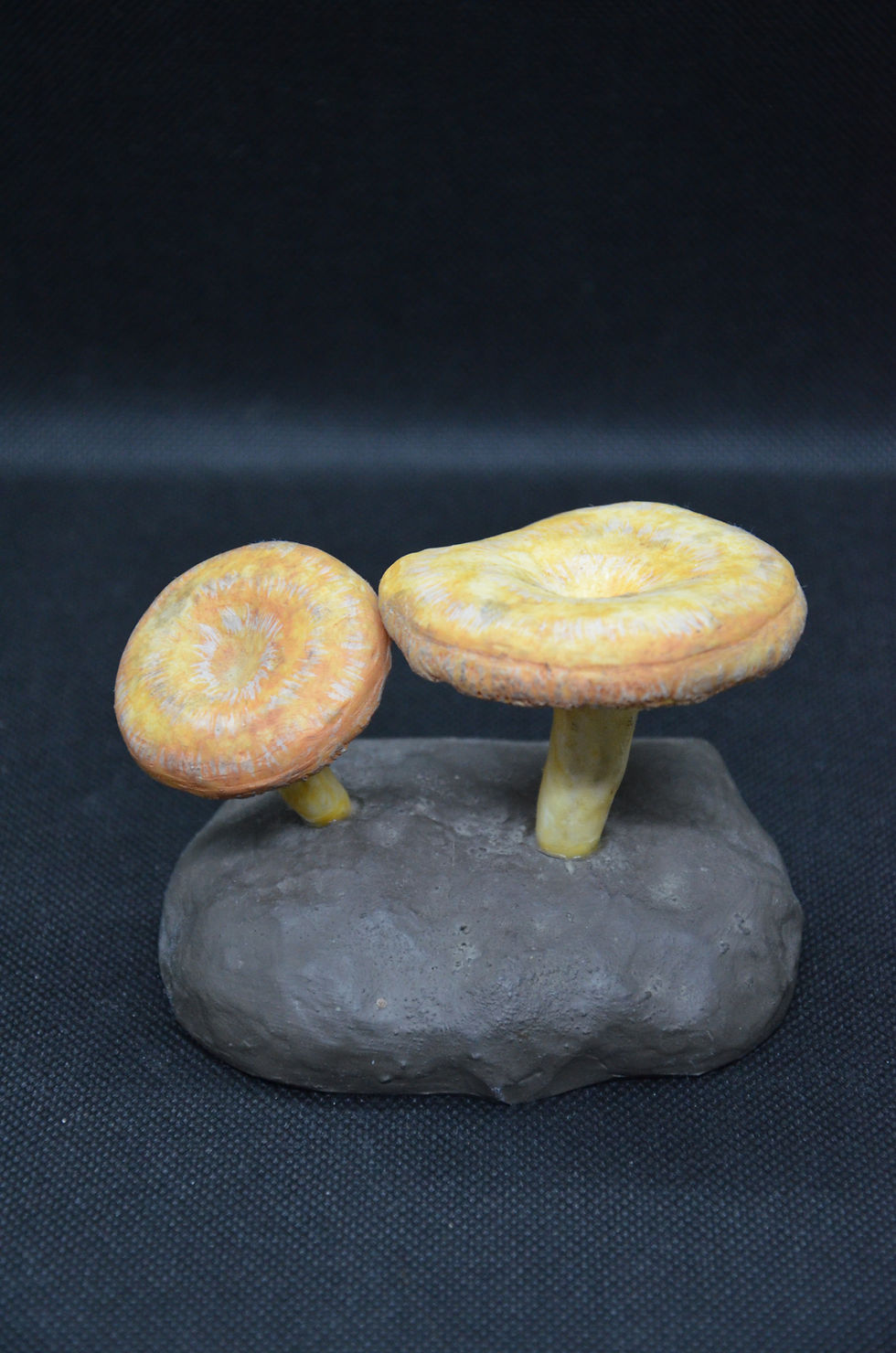 Thumbnail: DEYROLLE Mushroom Lactaire Toisonné Circa 1960-1980