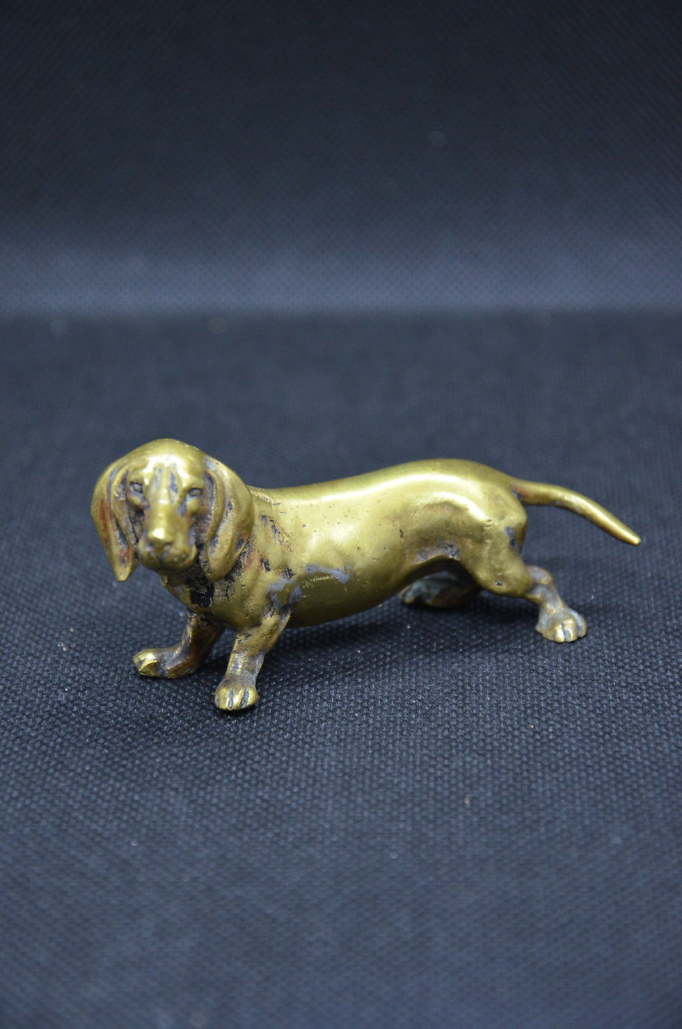 Thumbnail: Basset hound in bronze. Early 20th century