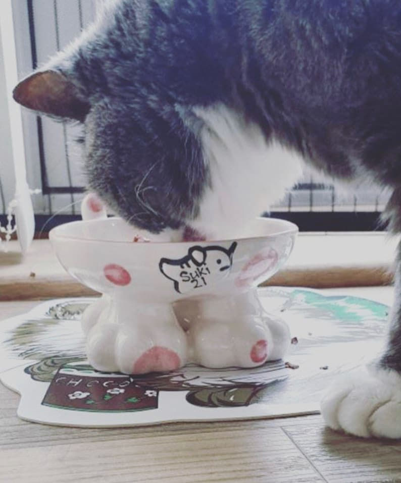 Thumbnail: Ceramic elevated cat bowl