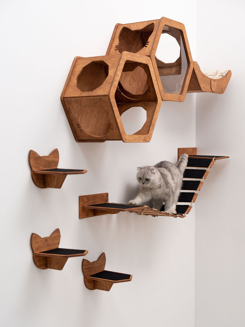 Thumbnail: Modern Cat climbing wall shelf, indoor cat
