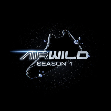 AirWild 1 - promo image.jpeg