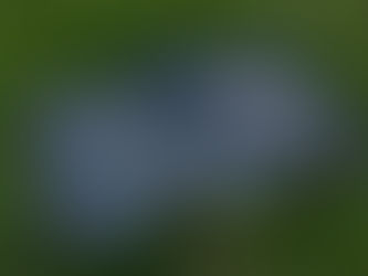 Ausstellung Open House |Kunstszene Gelsenkirchen