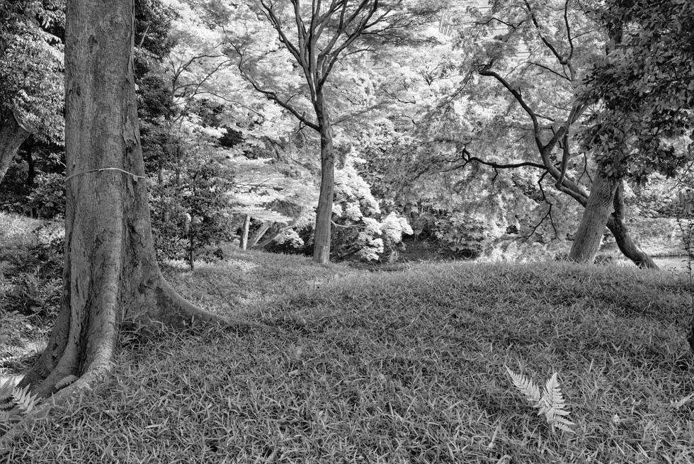 -Tokio_2019_0489SW.jpg
