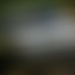 Champion, Competitor, Clubman – Remembering Robert Woodside