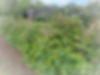 20221207_193443 Raspberries_edited.jpg