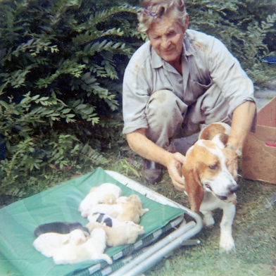 James Mason "Boney" Bowling, Mary Bowling Graybeal's dad, shown here with a new litter of Basset Hound pups in 1971.