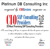 CIOReview2014v2.png