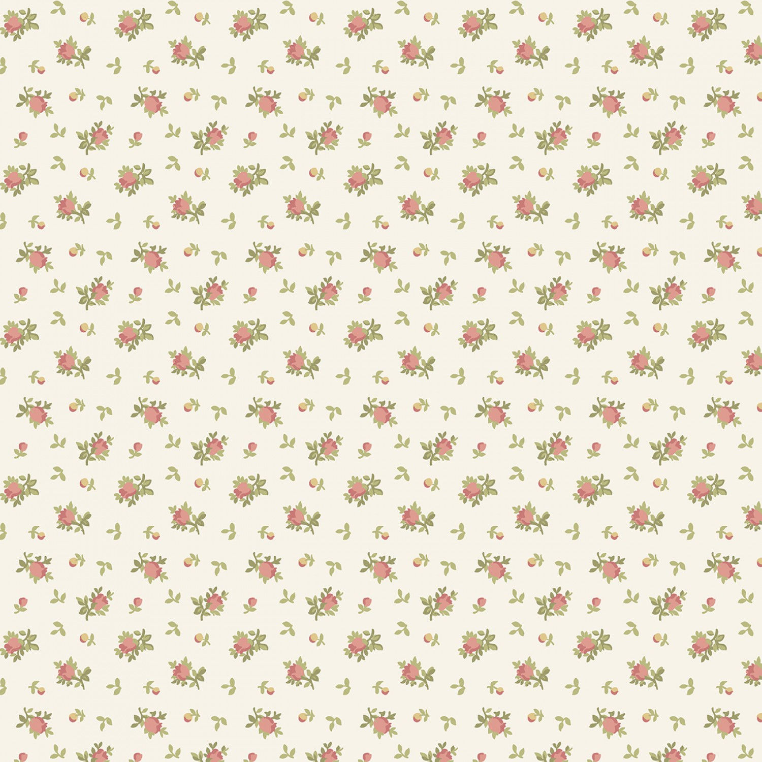  First Blush Cream Rose Buds By Marcus