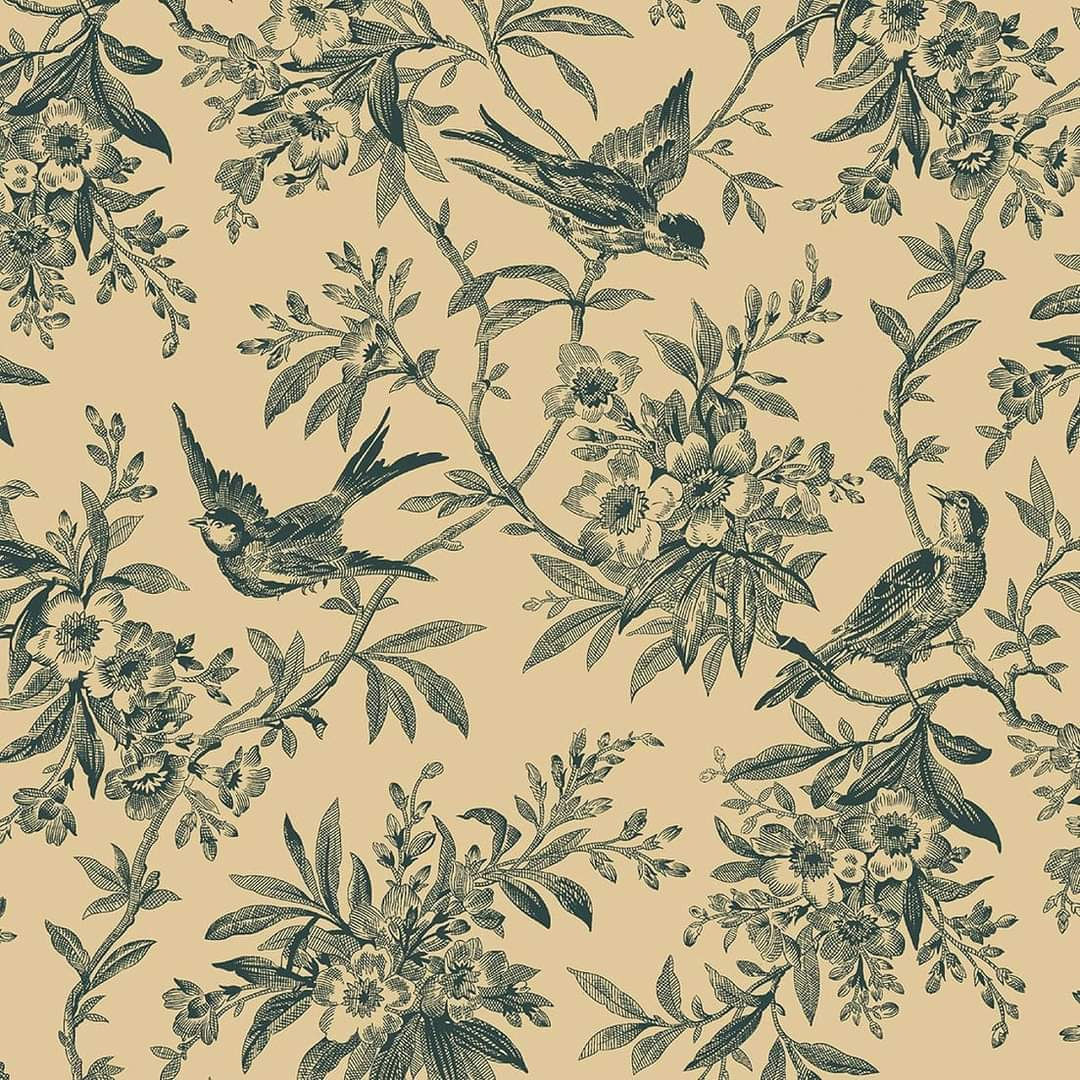 Haberdashery By Dawn Heese For Marcus Fabrics