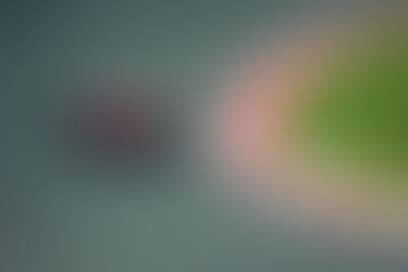 【重要】2026年モナコF1グランプリクルーズ 旅程変更のお知らせ