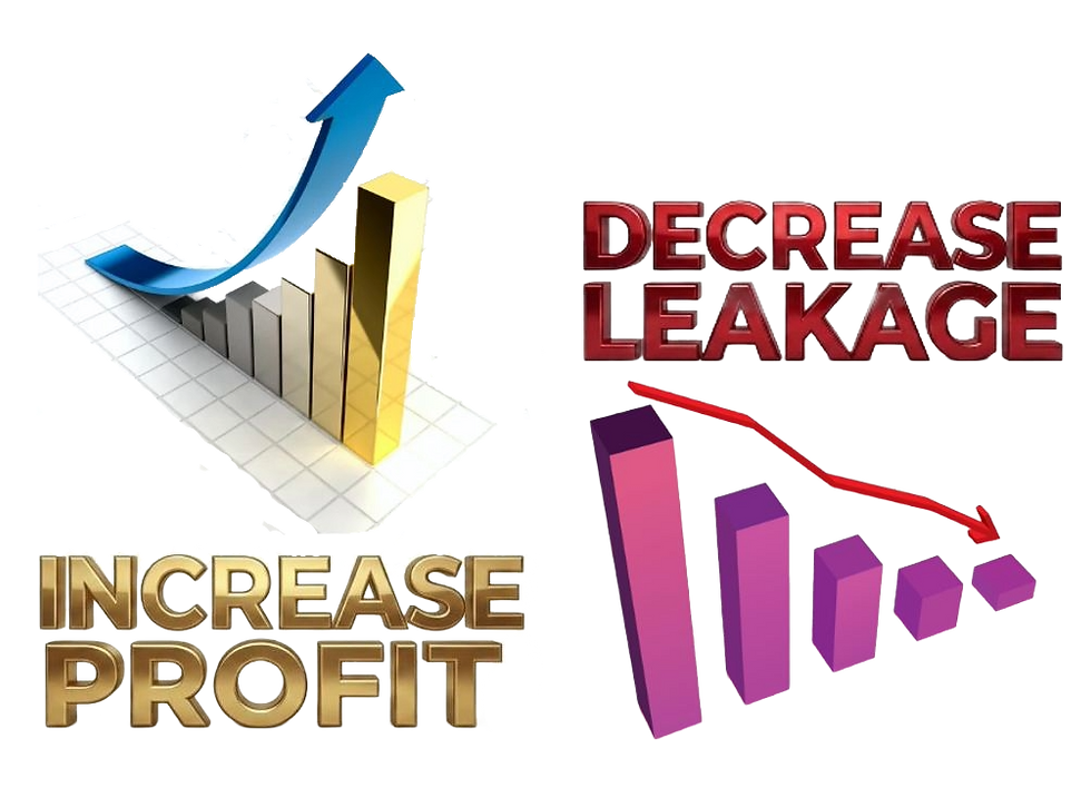Increase-Decrease Profit Pic - Transparent.png