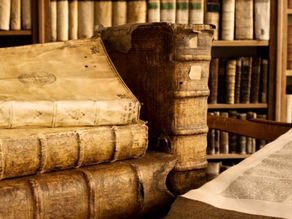 Timeless Wisdom of Ayurveda: A Holistic Guide to Wellness