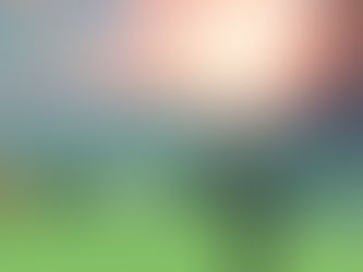 Discovering Secrets in Breath of the Wild