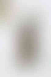 Image Courtesy of Urban Outfitters