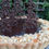 Thumbnail: Karen's Praline Tart Class - London - 18th January 2020