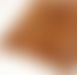 What is  WILD DIOSCOREA VILLOSA (WILD YAM) ?