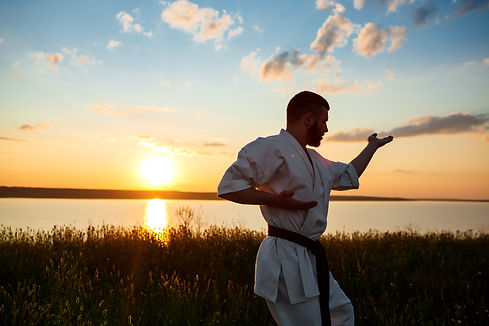 silhouette-sportive-man-training-karate-field-sunrise.jpg