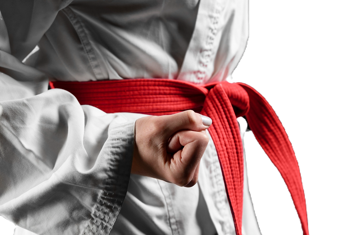 close-up-female-karate-fighter_edited.pn